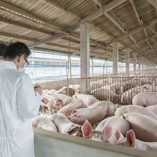 养猪场2基地仓库深圳市七亩地农产品实业有限公司