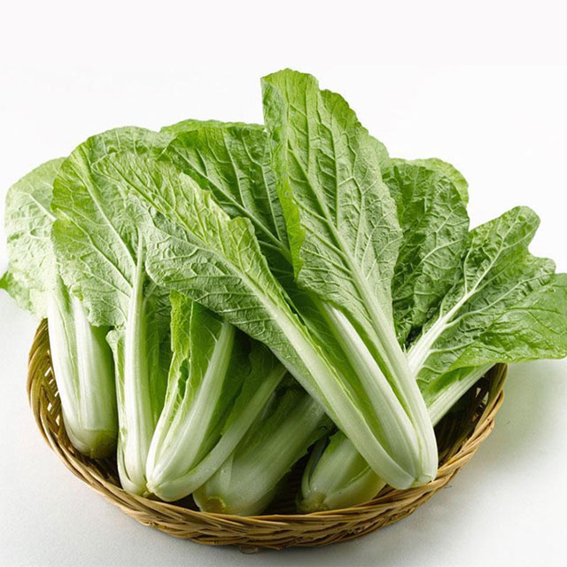 小白菜配送蔬菜配送深圳市七亩地农产品实业有限公司
