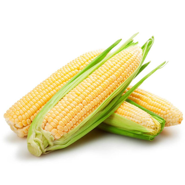 玉米配送蔬菜配送深圳市七亩地农产品实业有限公司