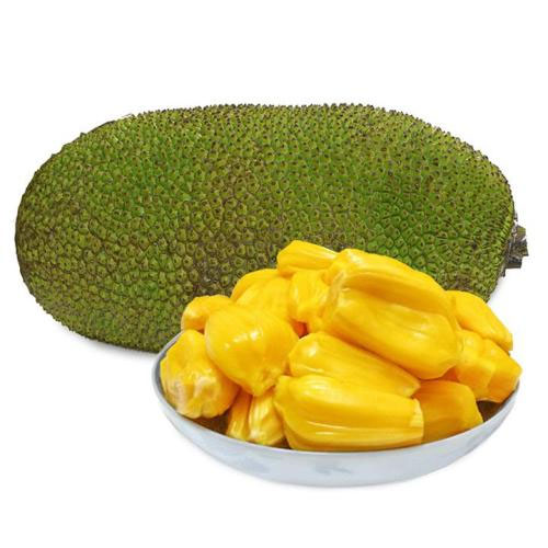 菠萝蜜配送水果配送深圳市七亩地农产品实业有限公司