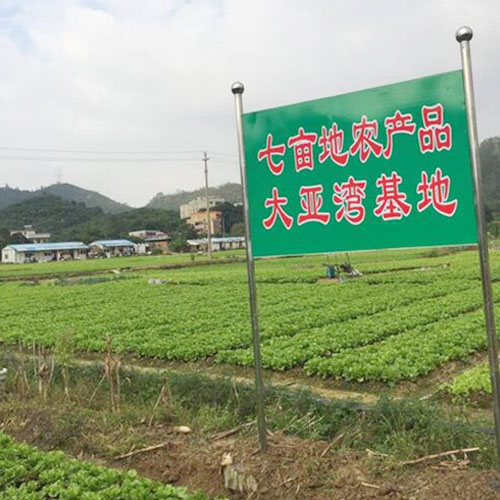 种植基地4种植基地深圳市七亩地农产品实业有限公司