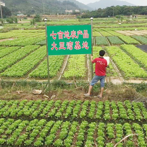 种植基地2种植基地深圳市七亩地农产品实业有限公司